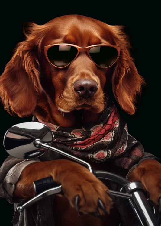 Funny Dog &amp; Cat Riding a Motorcycle Poster – Nordic Style Canvas Wall Art for Living Room Decor (Unframed)